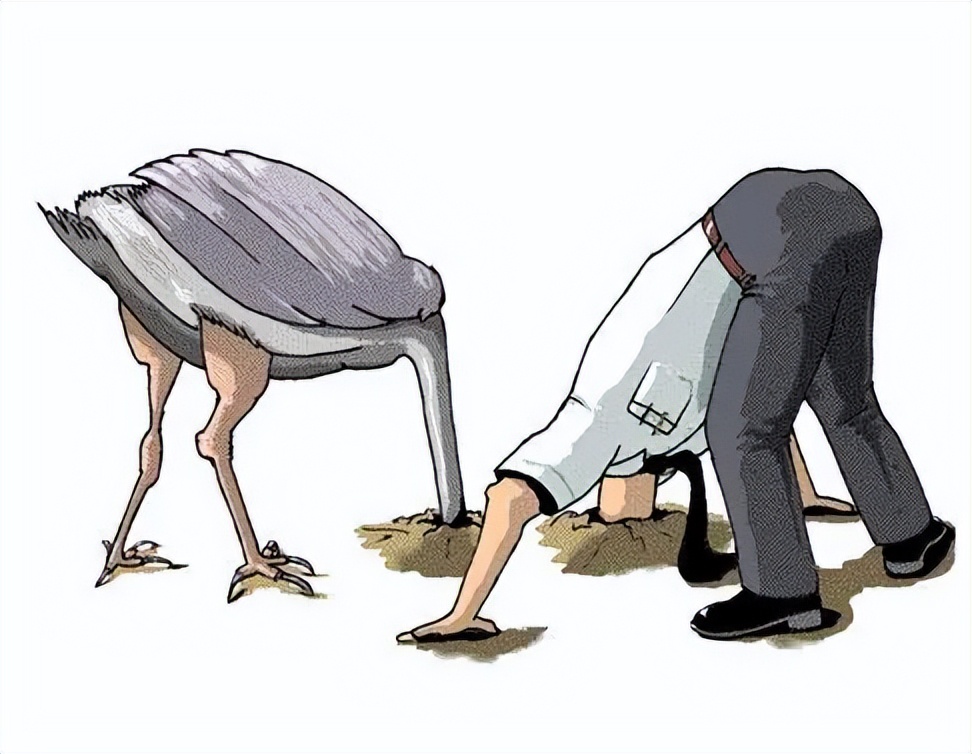 百利好交易智慧交易须远离鸵鸟心态