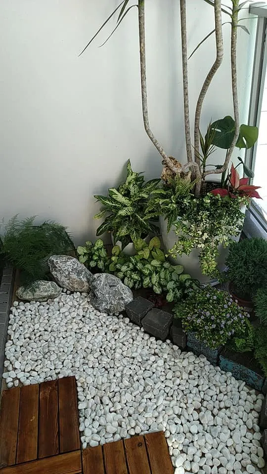 小阳台也能有鱼池!全靠DIY,种花造景都可以,太神