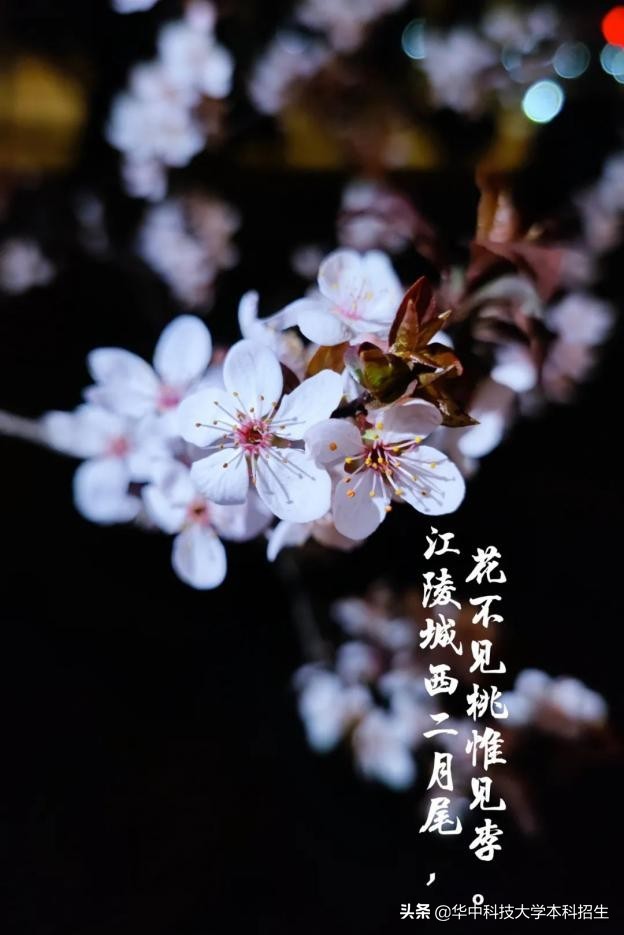 急速升温！这个夏天，华中科技大学将成全国“最火热”大学！吸引世界目光！