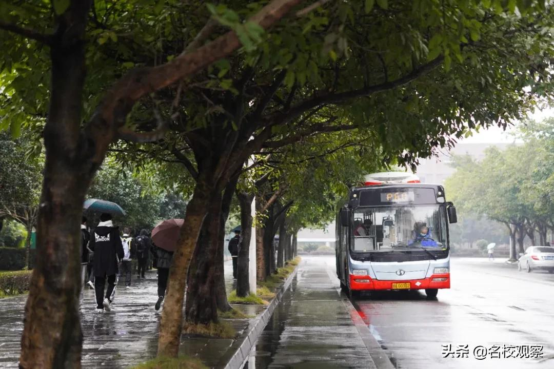 生机勃勃，奋斗不止！开学第一天，西华大学校园，元气满满