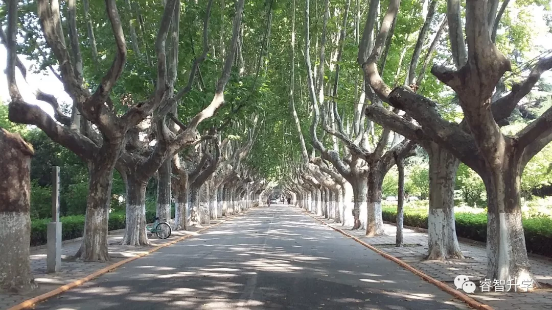 2022升学报考｜聚焦院校｜西安交通大学