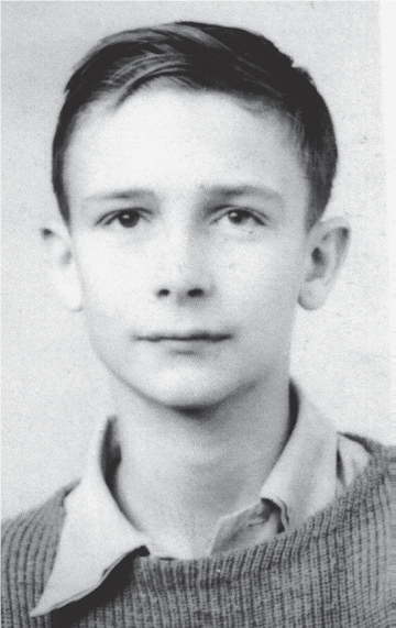 达尔文之后最伟大博物学家，爱德华·威尔逊遗作：与蚂蚁相伴80多年的故事