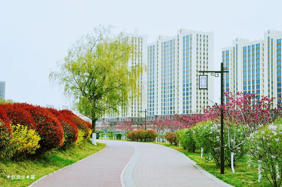疫情挡不住春天的脚步，小编带你去看古城秦州的春暖花开