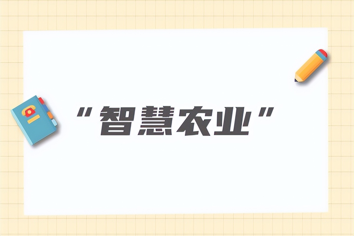 连续四年发放补贴？拼多多为何如此执着于农业