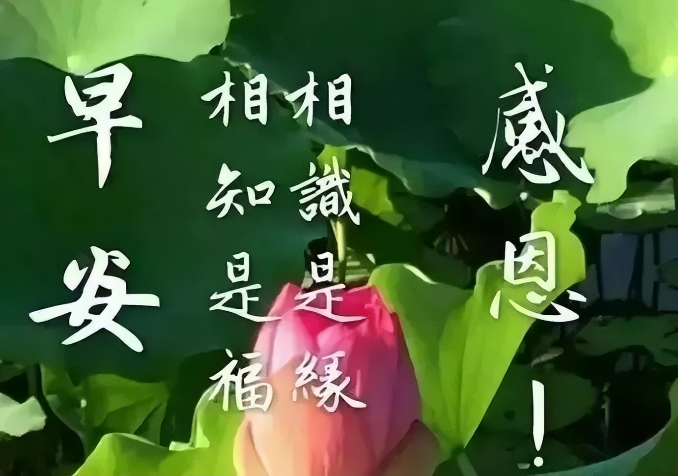 微信早安表情包大全 快乐永不老，健康才是宝，善待自己，保持微笑图片