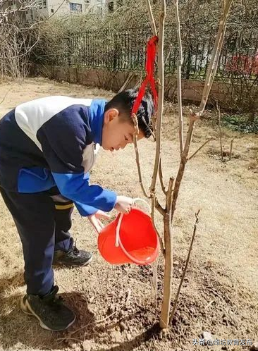 周播报 | 潍坊校园新闻（03.07—03.13）