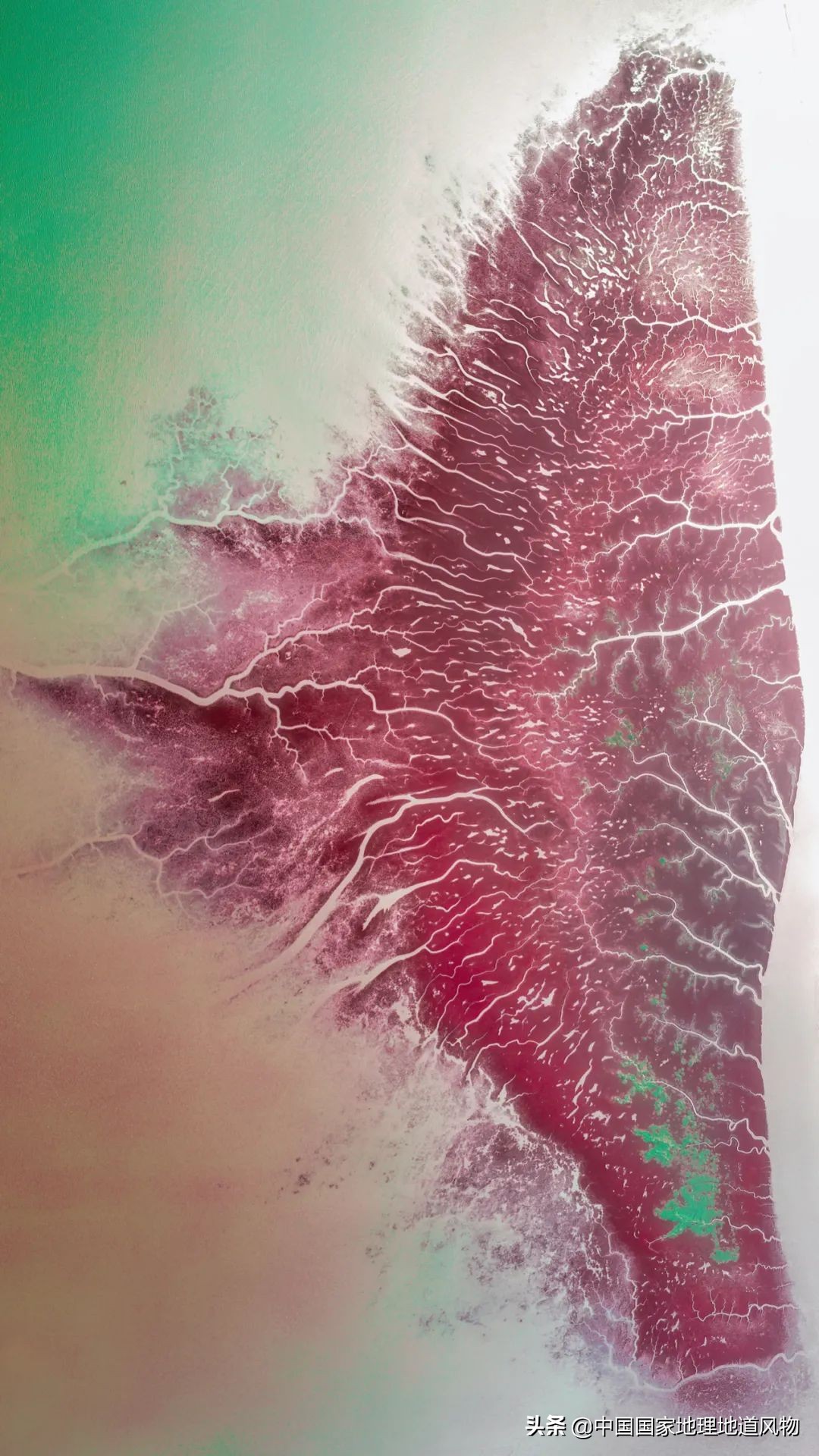 辽宁，被忽略的海鲜大省