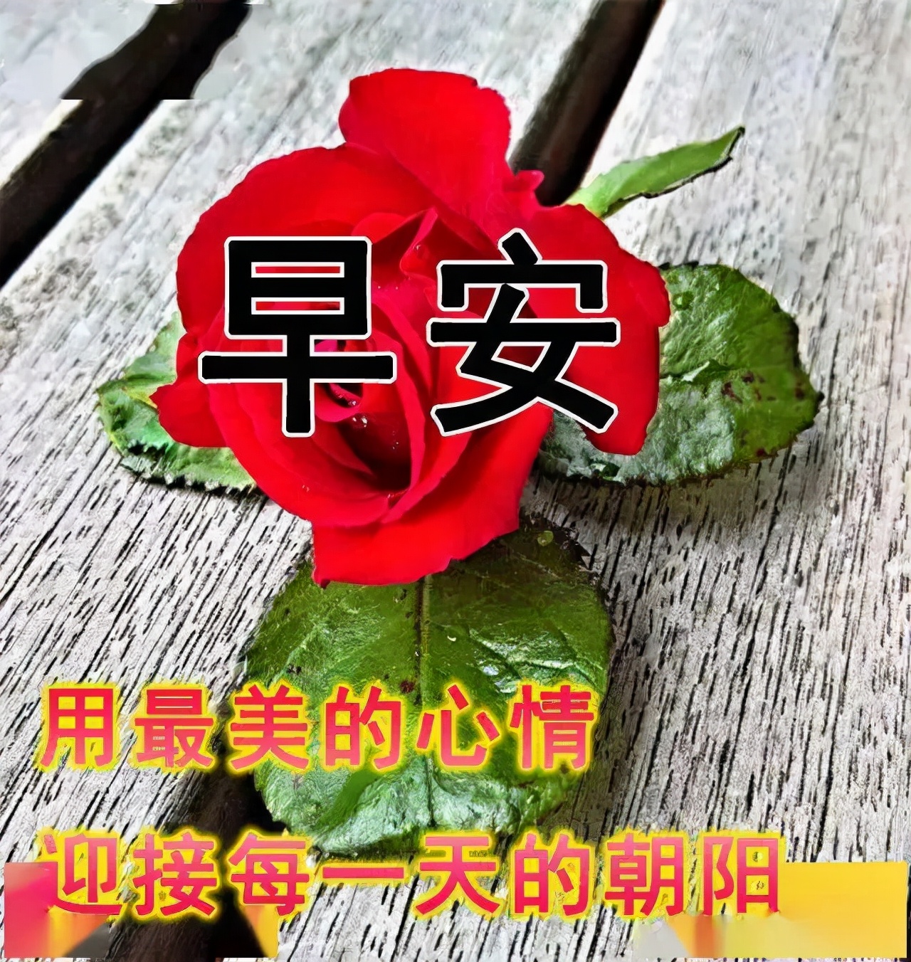 生活，只要适合自己，就是幸福，早安