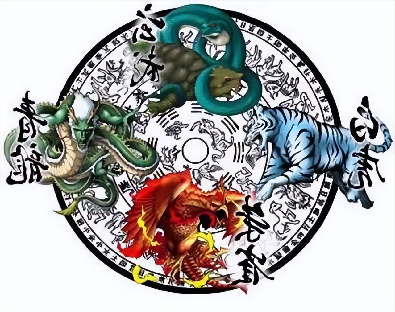 而所谓的四象就是人们常说的左青龙,右白虎,前朱雀,后玄武,而四象位的