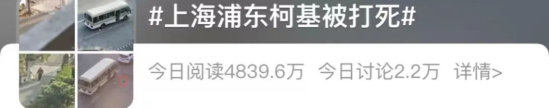 10分钟看哭7次！当他们不再“有用”的时候，却也无法正常生活