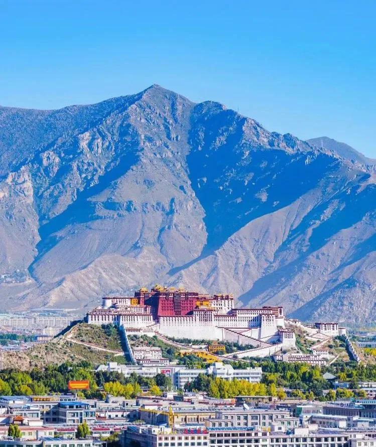 父母适当的时候要学会放手，让孩子自己闯世界！