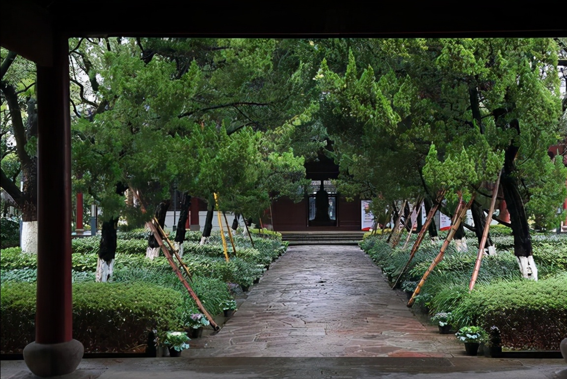 亮眼！浙江42名学霸被清北提前录取，分别来自7所重点高中