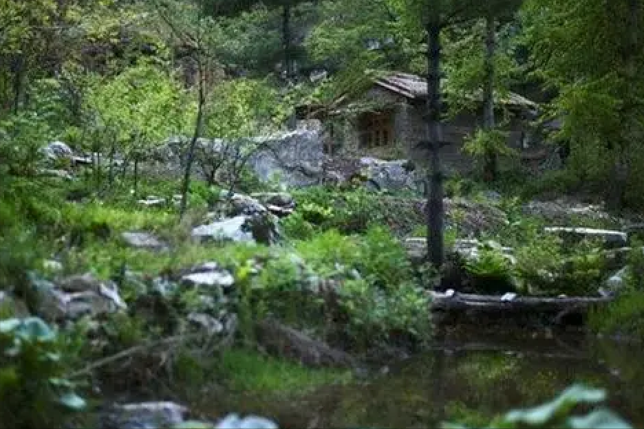 终南山女隐士王芝霞：43岁弃家皈依佛门，85岁仍坚持打坐参禅