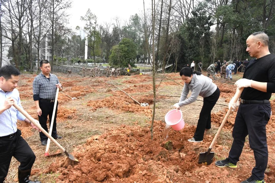 创国家森林城市 建怀化绿色家园 黎春秋王建球李万千印宇鹰等参加义务植树活动