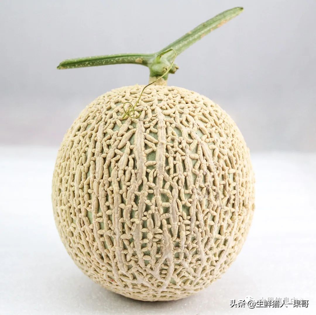 哈密瓜、蜜瓜、网纹瓜、香瓜、羊角蜜傻傻分不清？看完就明白了