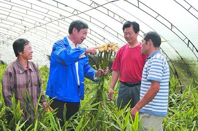 哭泣的乡村：一个中国农大研究生的回乡日记