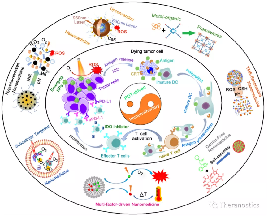事关癌症研究，辽宁2位女教授发表最新研究进展，吸引世界目光！