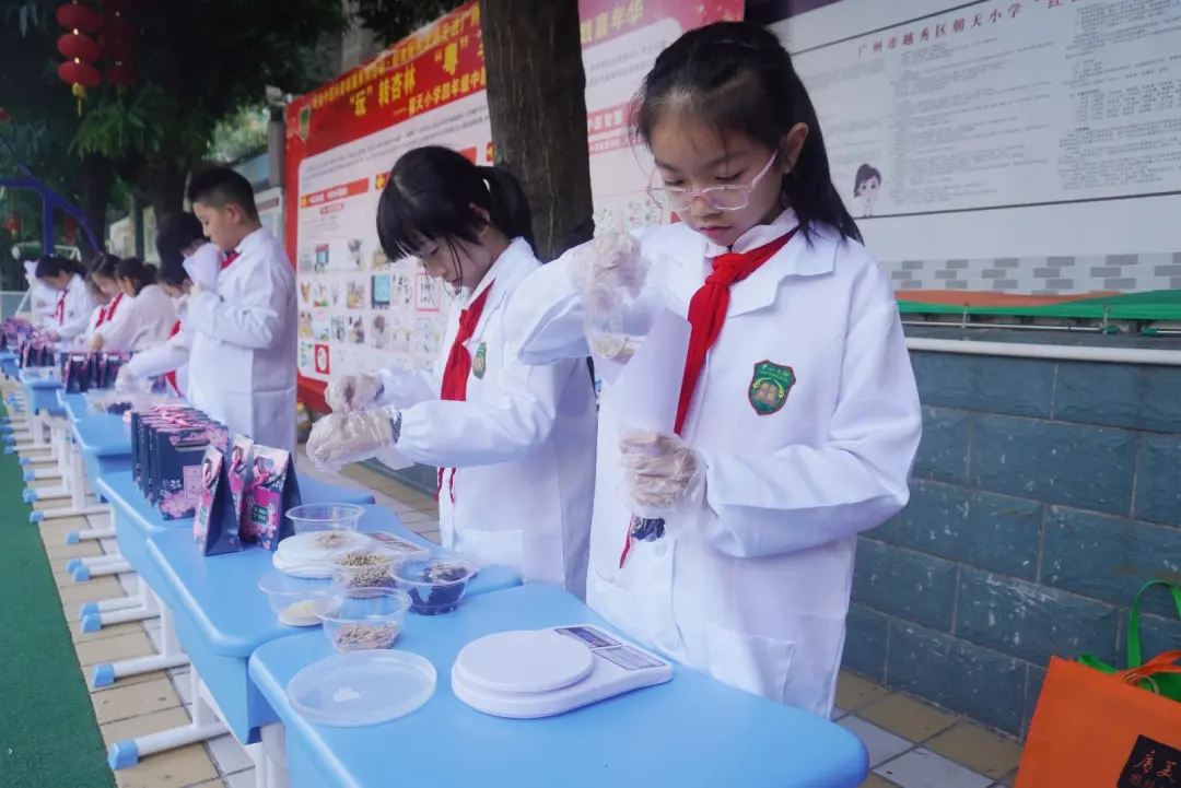 越秀｜“玩”转杏林“粤”享生活！朝天小学中医药劳动研学实践嘉年华活动热闹开锣
