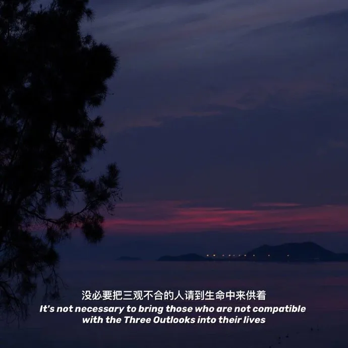 收藏了很久的文案句子‖ 温柔的人,在夜晚也会漏出伤疤