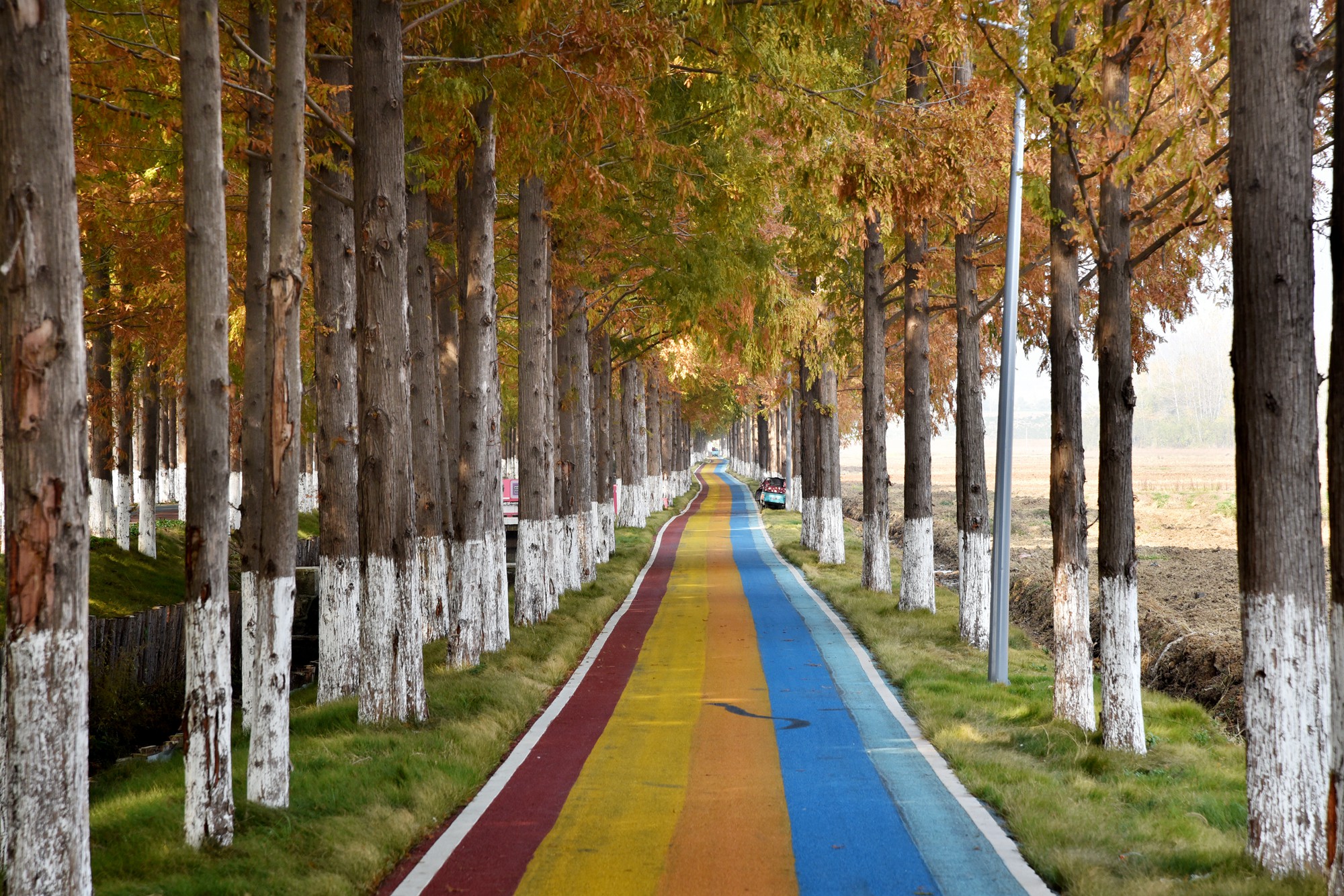 自驾安徽滁州，寻找江淮岭脊线最美的秋天
