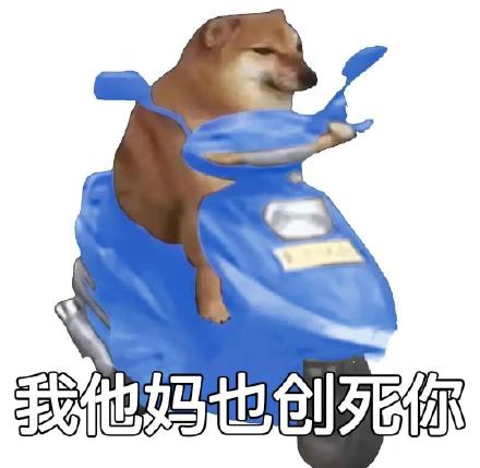 我他妈创死你表情包柴犬骑电动车 