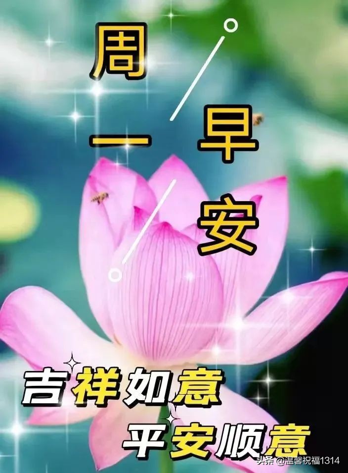 漂亮的周一早上好祝福图片，早上好祝福语