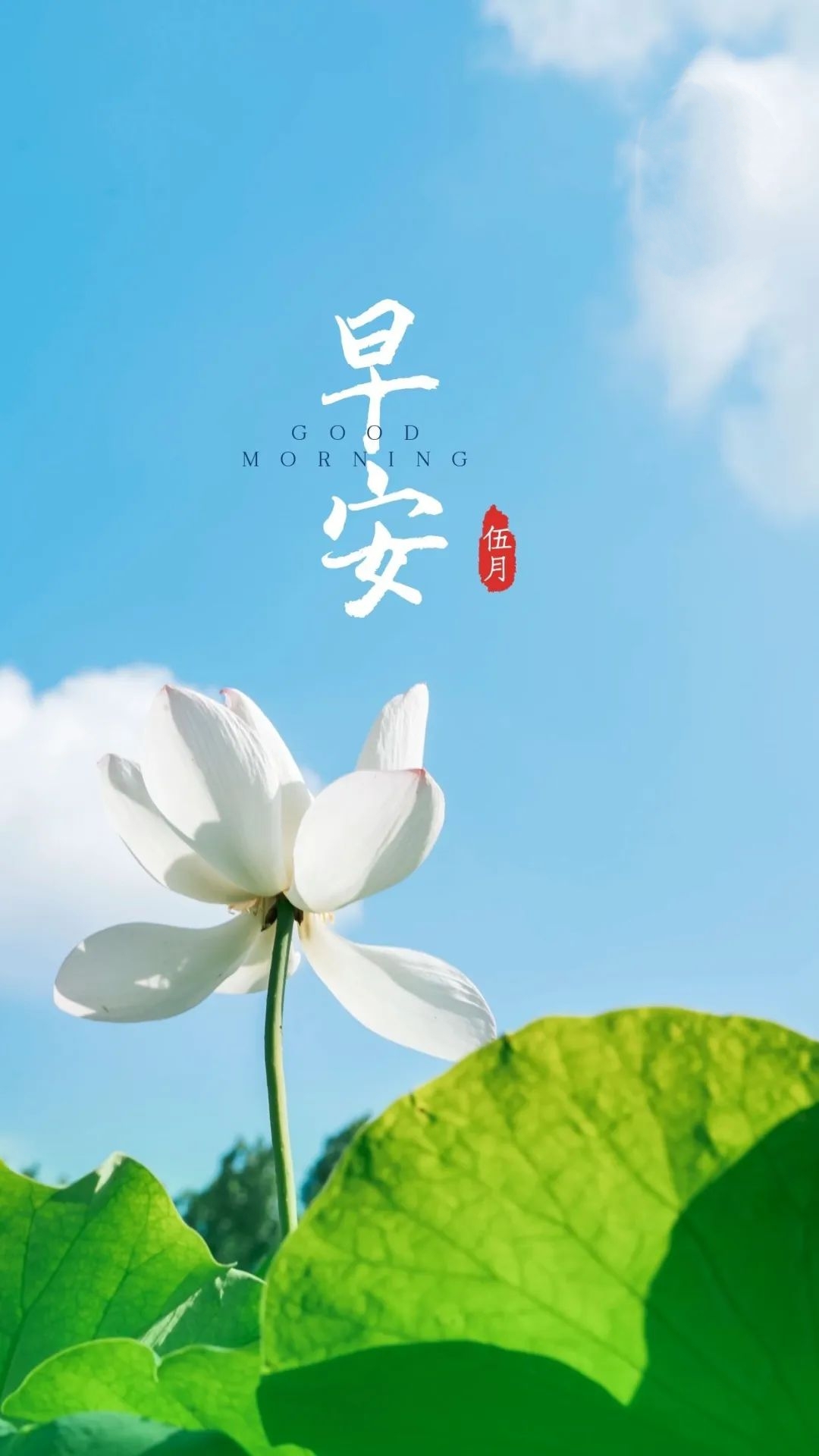 05.05」早安心语,立夏正能量最棒入心语录句子 立夏图片