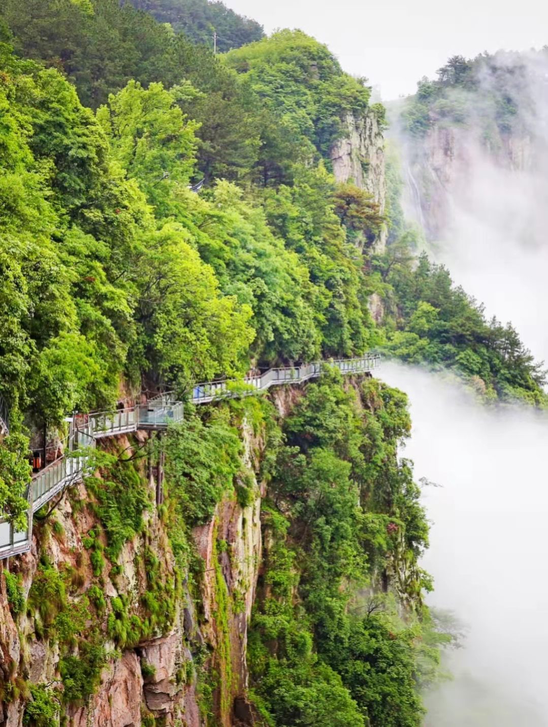 宁波周边游,这些地方藏着春日的山野和自由,成了出行中的偏爱