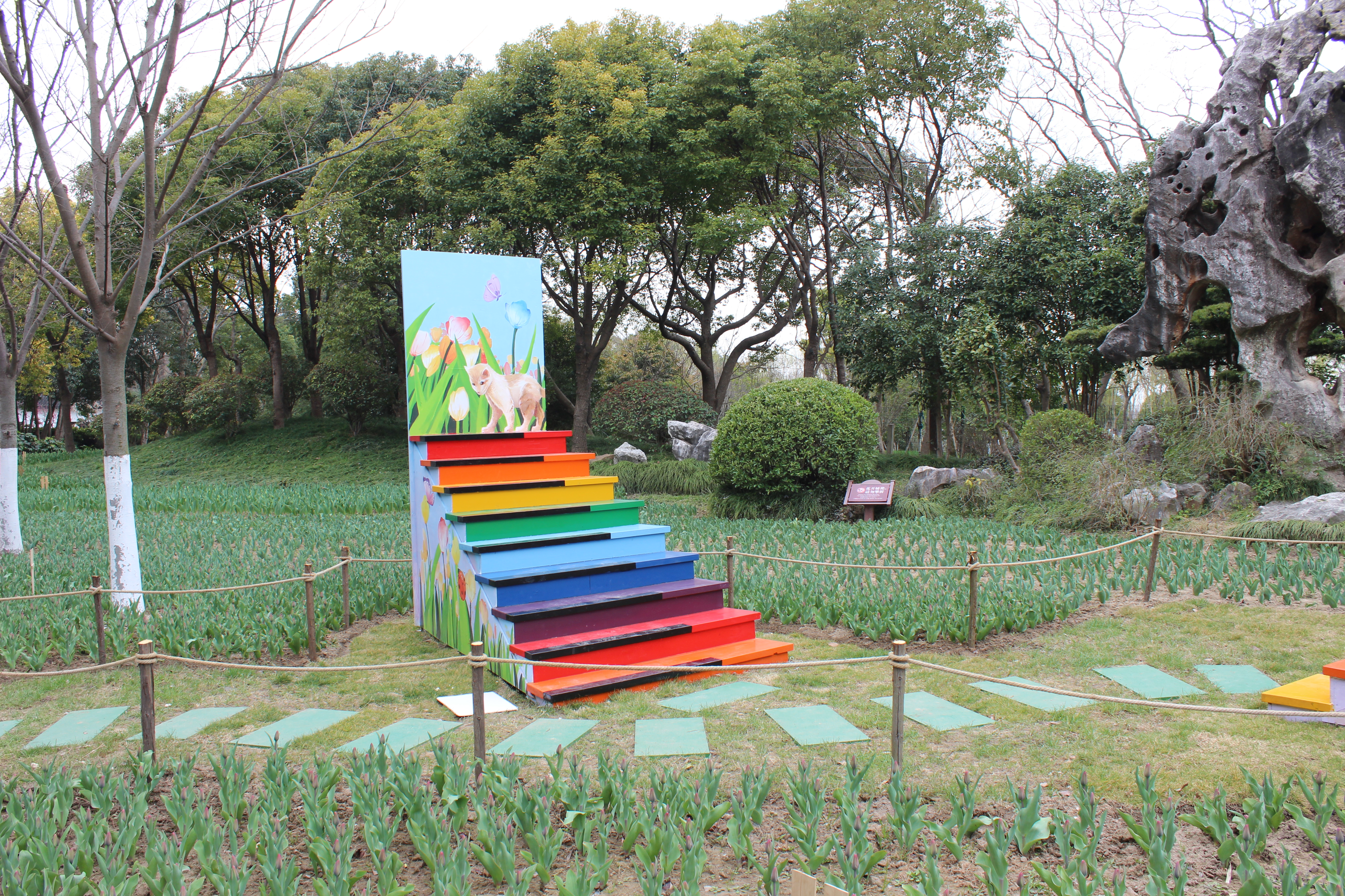 「啬园第十四届郁金香花展」以花之名，“郁”见春天