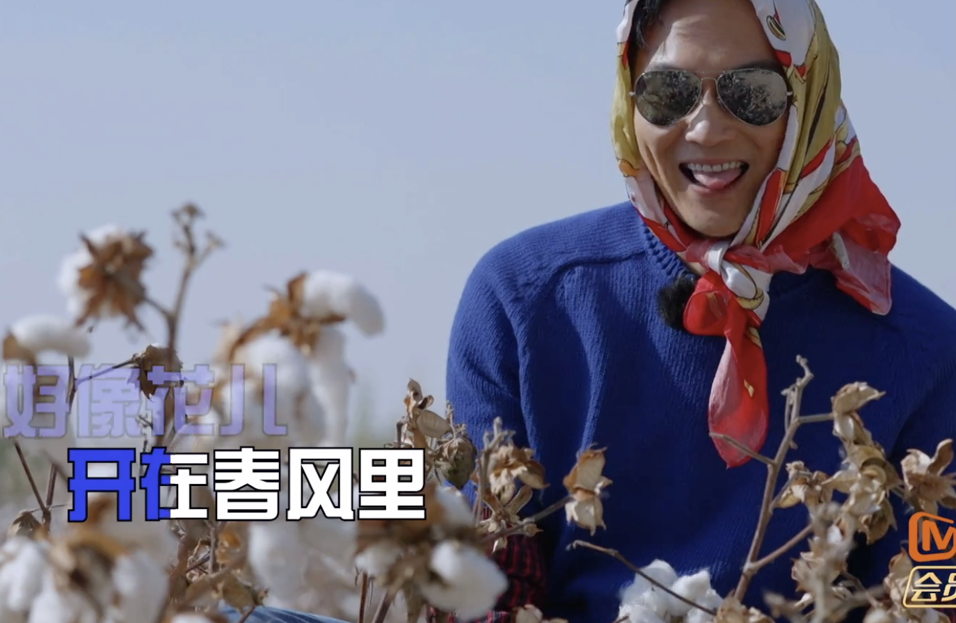 张智霖戴头巾摘棉花被阿姨误认为20多岁，袁咏仪调侃他是狼外婆