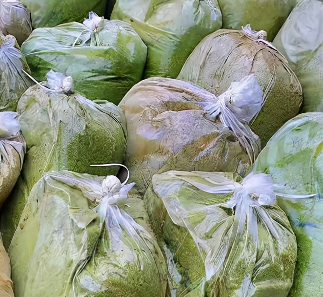 养鸡能种哪些牧草？哪种牧草养土鸡更盈利？