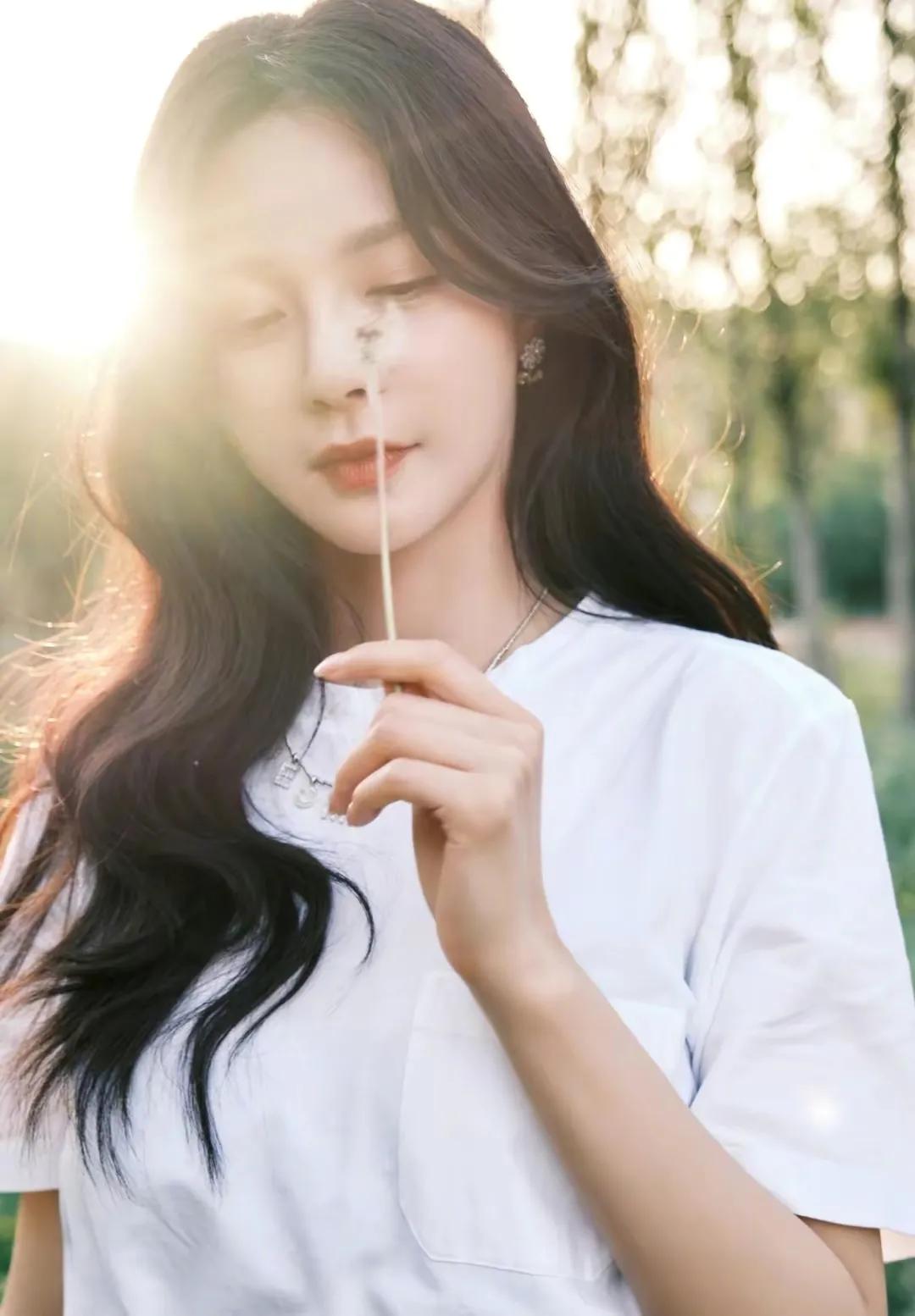 看花识女人，白鹿、程潇、赵小棠、沈梦辰花仙子纯欲风拉满