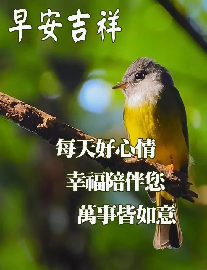 周五最新早上好表情包，事事美好，平安顺心、天天快乐图片