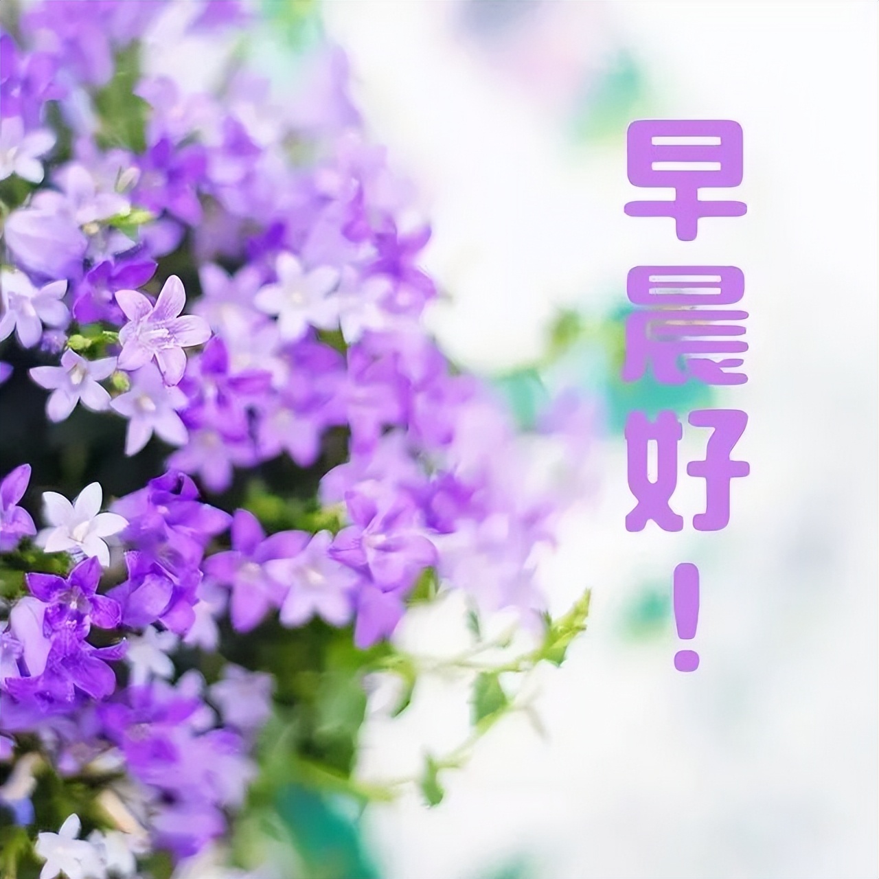 微信早上好祝福语图片大全，人生就这一辈子，关键是要活出自己图片