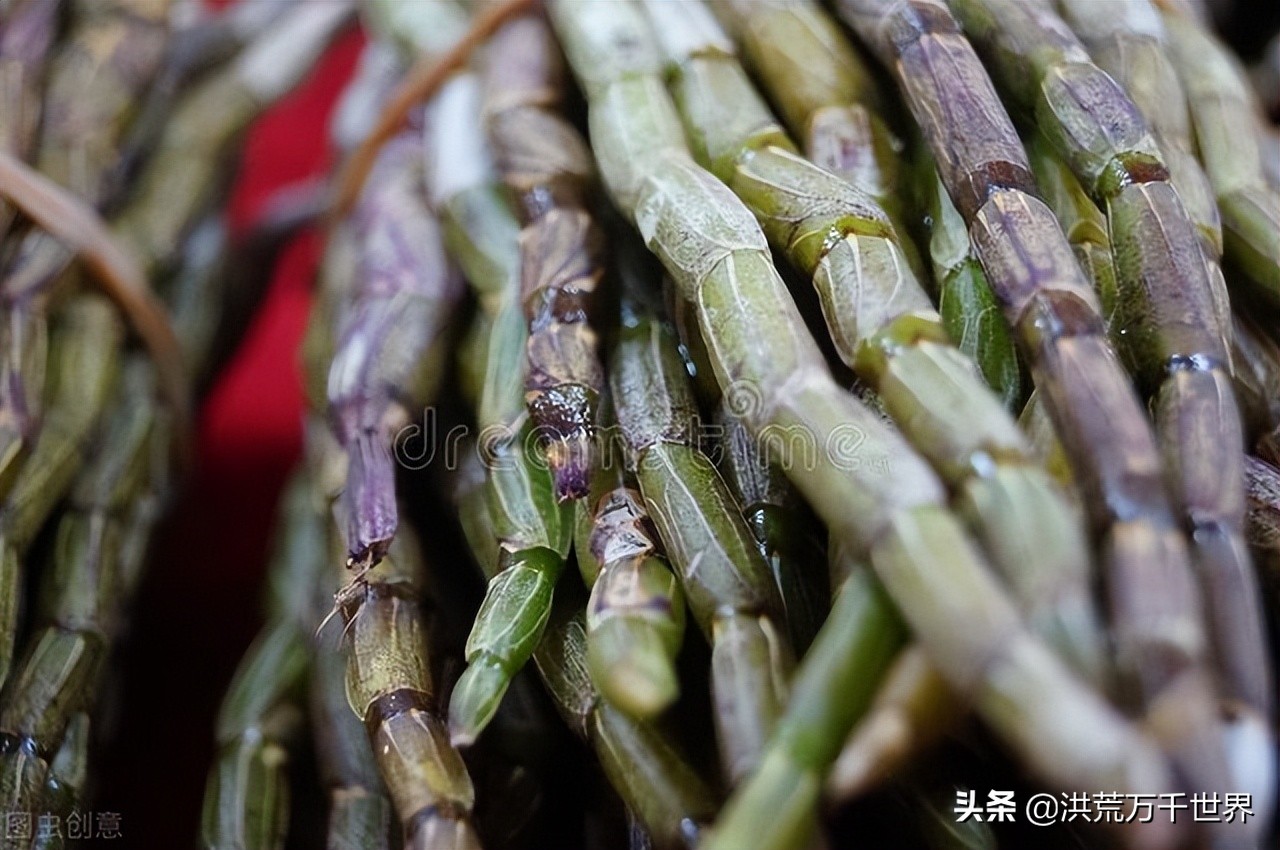 中华“九大仙草”你知道是哪几种吗？