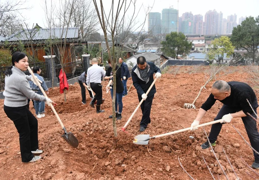 创国家森林城市 建怀化绿色家园 黎春秋王建球李万千印宇鹰等参加义务植树活动