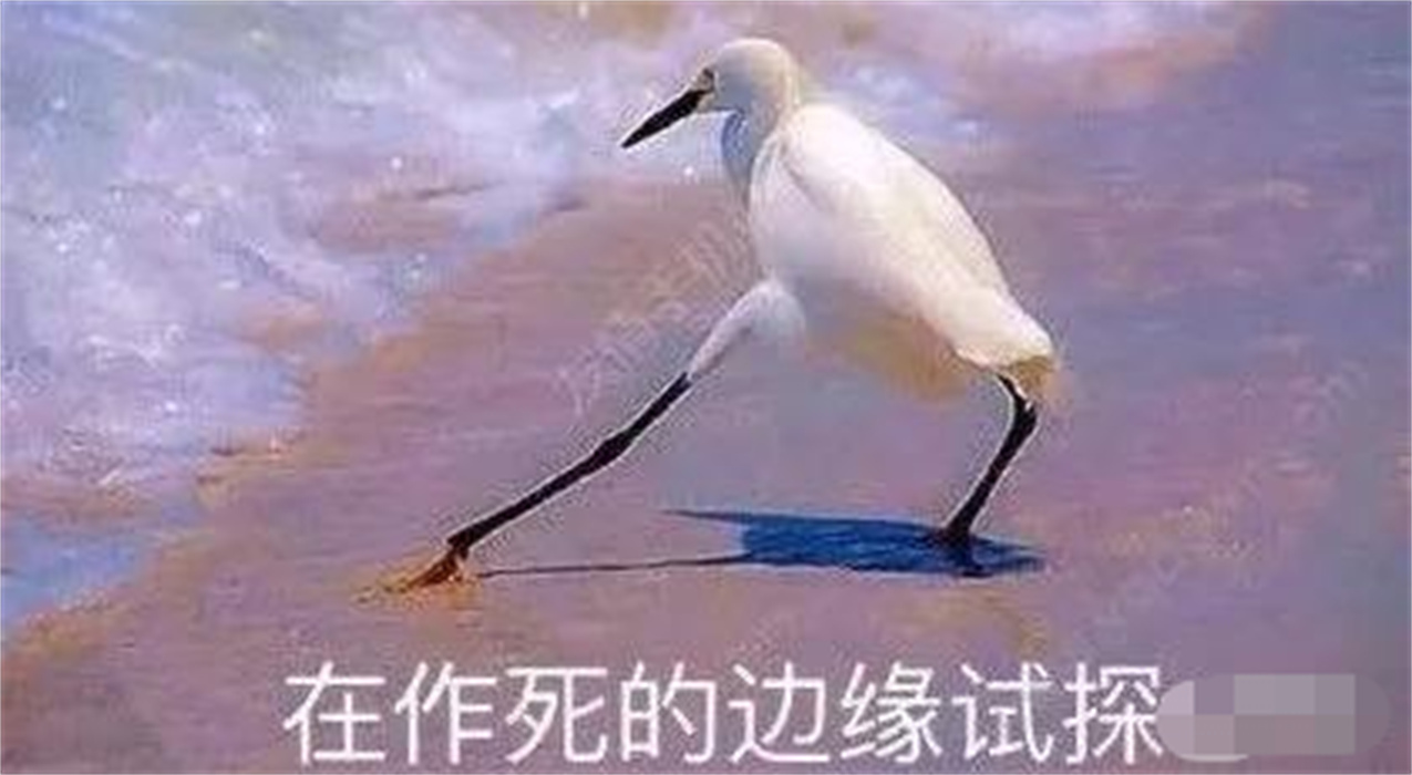 外汇黄金作手 仓位控制-5