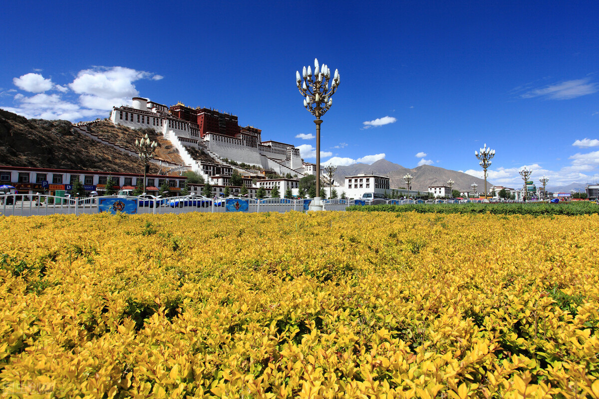 西藏旅游必达之地-拉萨,一年四季十二月有什么好玩儿?
