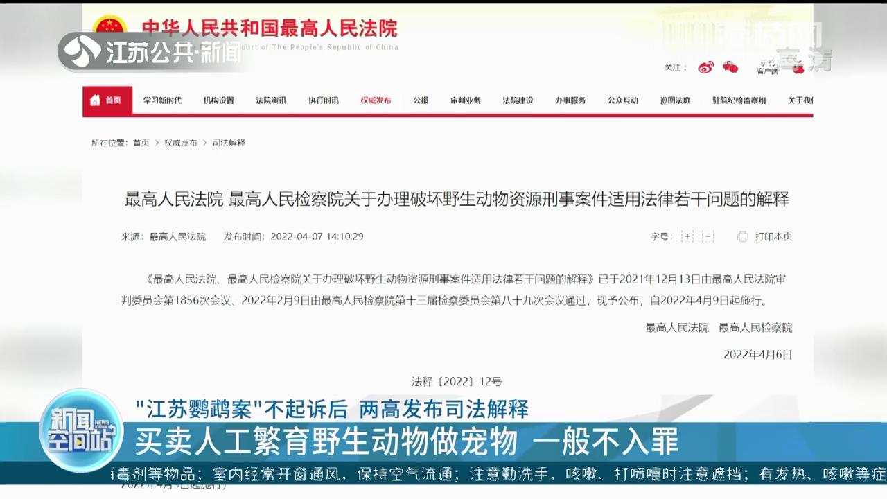 “江苏鹦鹉案”不起诉后 两高发布司法解释：买卖人工繁育动物一般不入罪