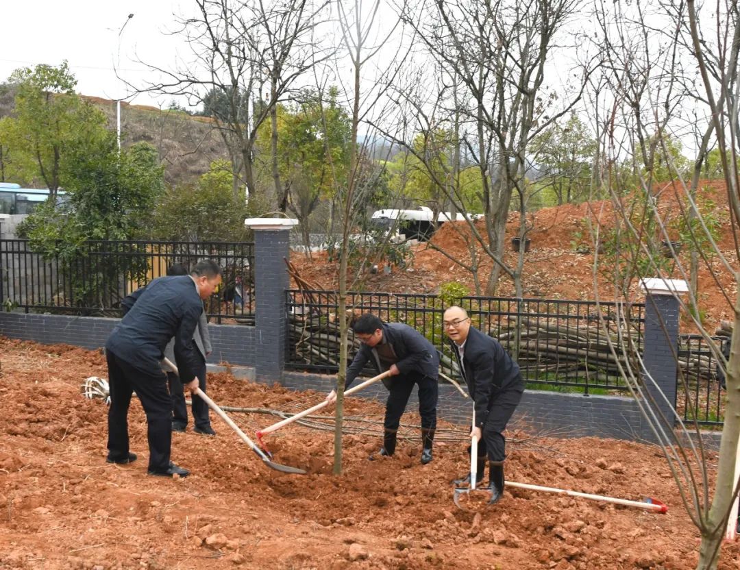 创国家森林城市 建怀化绿色家园 黎春秋王建球李万千印宇鹰等参加义务植树活动