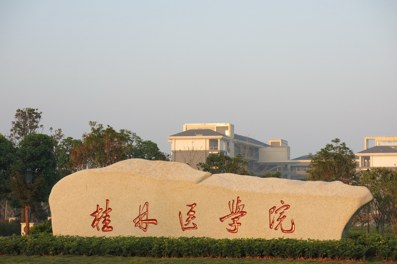 13省19所“学院”，领跑更名“大学”，谁能率先冲过重点线？