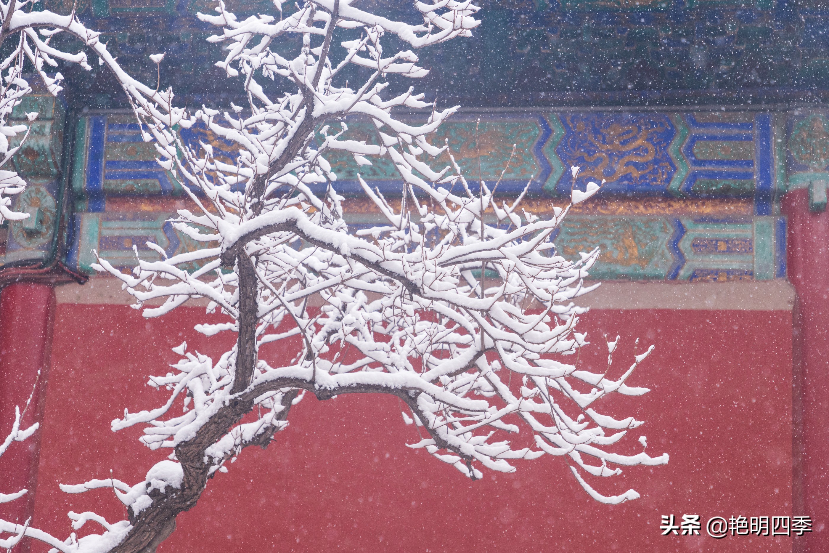 春天里，在紫禁城看一场大雪，与冬天做一个郑重的告别