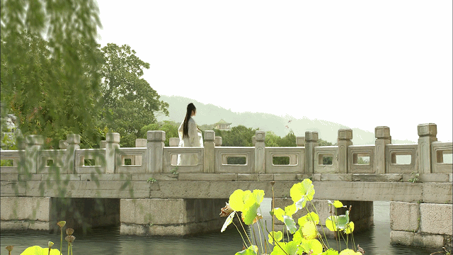 同样是演“宝钗扑蝶”，张莉灵气四溢美如画，李沁木头桩子干扑腾