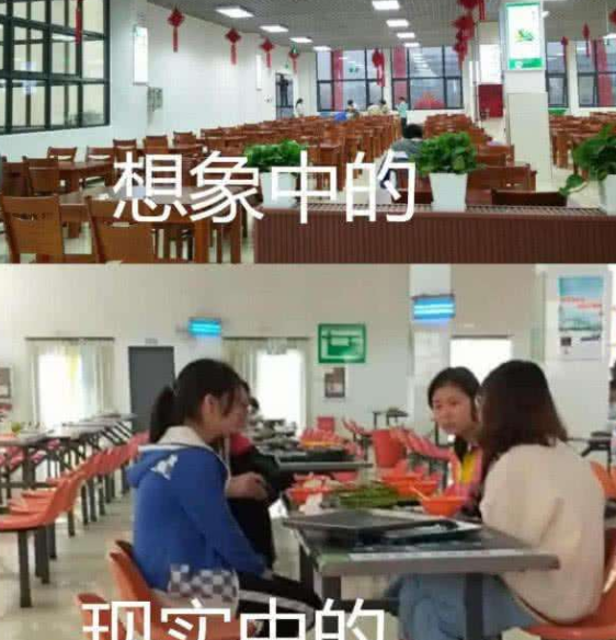 “多么痛的领悟”？现实的大学VS理想的大学，没有对比就没有伤害