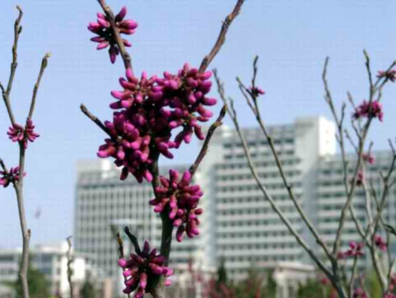 这所来自山东的医学院，临床医学专业招生断档，狂跌6万位