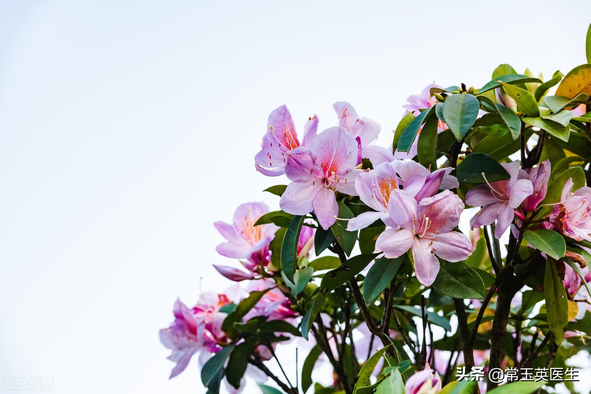 写在三月的古诗词10首