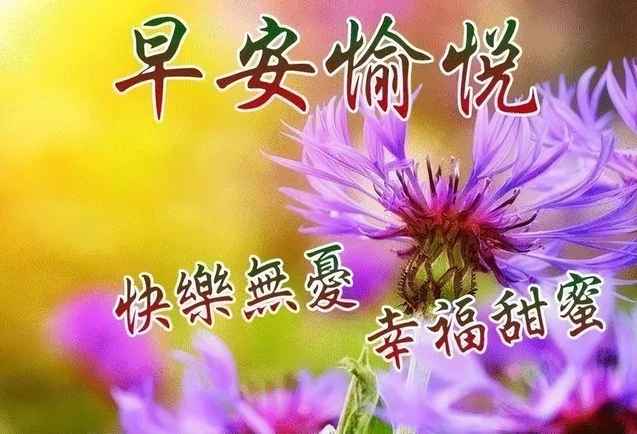 五月早上好祝福语图片 早上好的图片问候祝福语句子图片
