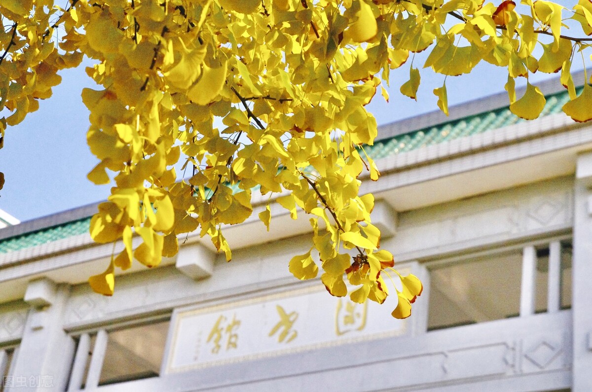 「研究生福利」考研高校最美图书馆！为了电影院拼了