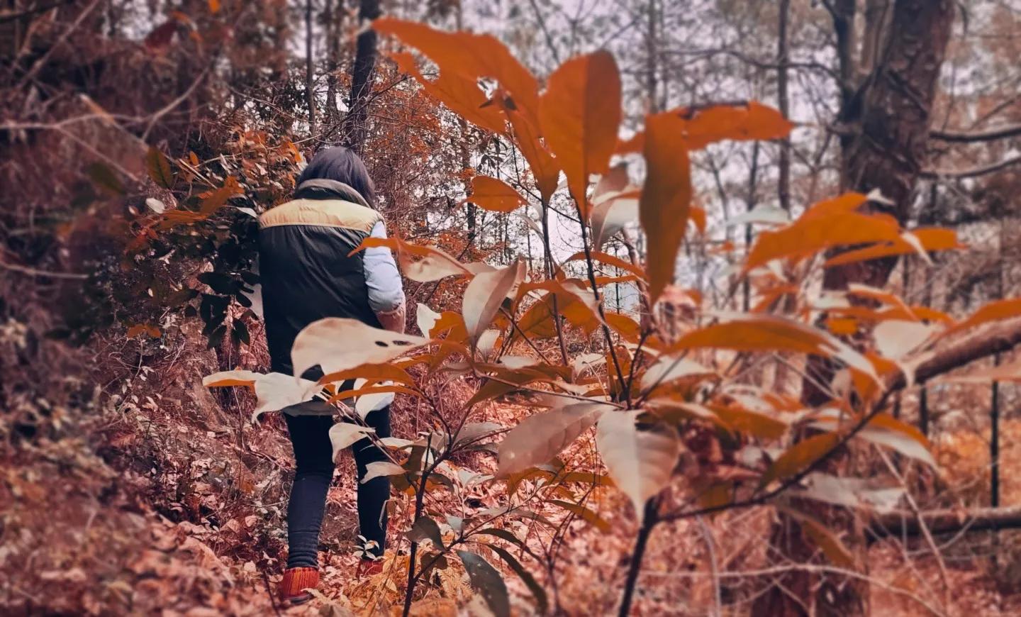 有人说穿警服上课的警校生，并不一定是能够参加公安联考的警校？