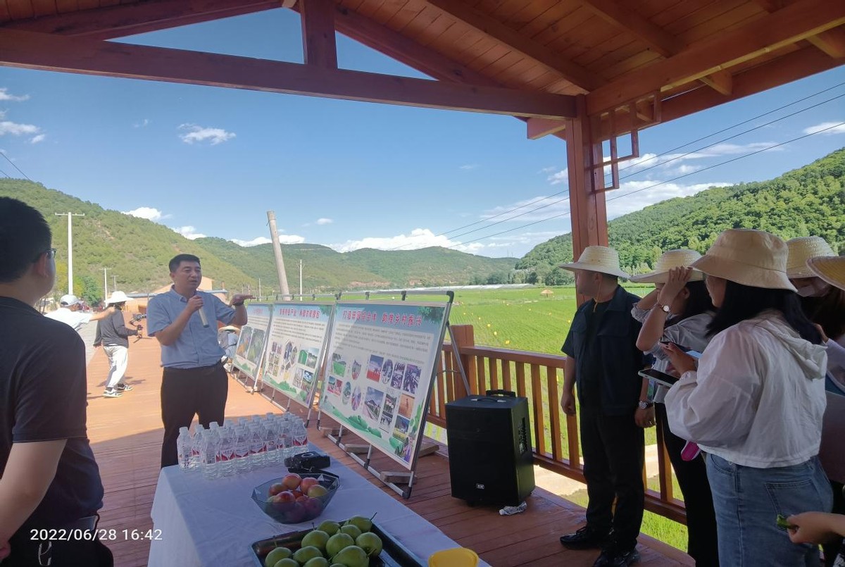 水稻专业村——富县川庄村 精心建设“网红”生态农业田园